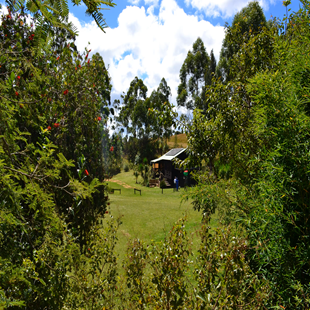 gallery image 01